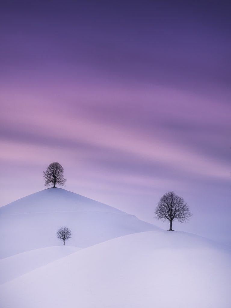 Photographe : Cédric Tamani. "The Drumlins in Winter".