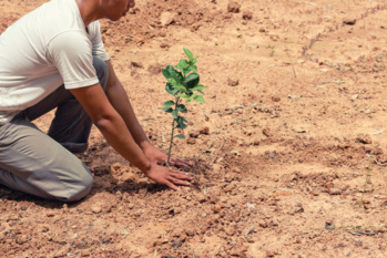 Transition écologique : 25 actions locales qui prouvent que c’est possible