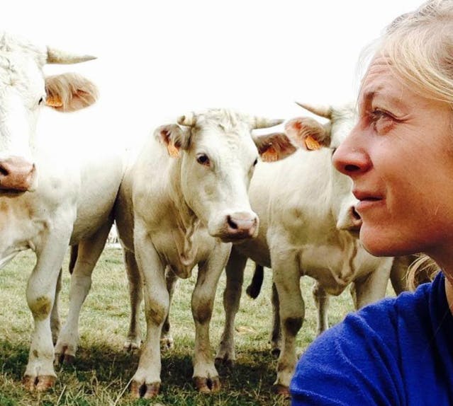 Bien-être animal : cette éleveuse lance le premier camion d'abattage mobile