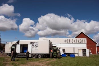 Bien-être animal : cette éleveuse lance le premier camion d'abattage mobile