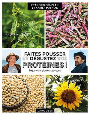 Remplacez la viande avec ces plantes bourrées de protéines