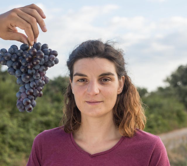 Vigne de Cocagne, le premier vignoble bio et solidaire
