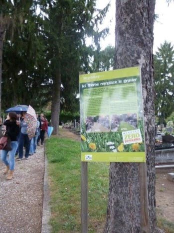Abeille, hérisson, renard : les cimetières, nouveaux sanctuaires de biodiversité