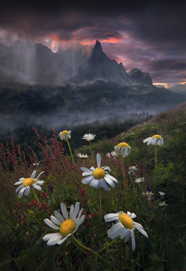 Photographe : Max Rive. "The Dark Lord".