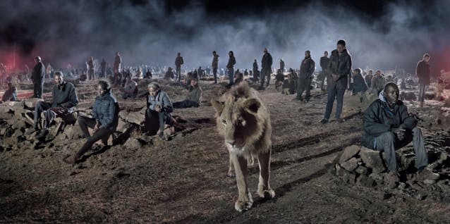 Animaux à l'agonie : ce photographe alerte sur la 6e extinction de masse