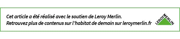 Leroy Merlin