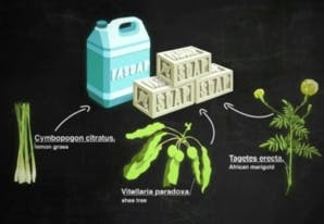 Un microscope ultra-low-cost en papier pour vaincre le palu