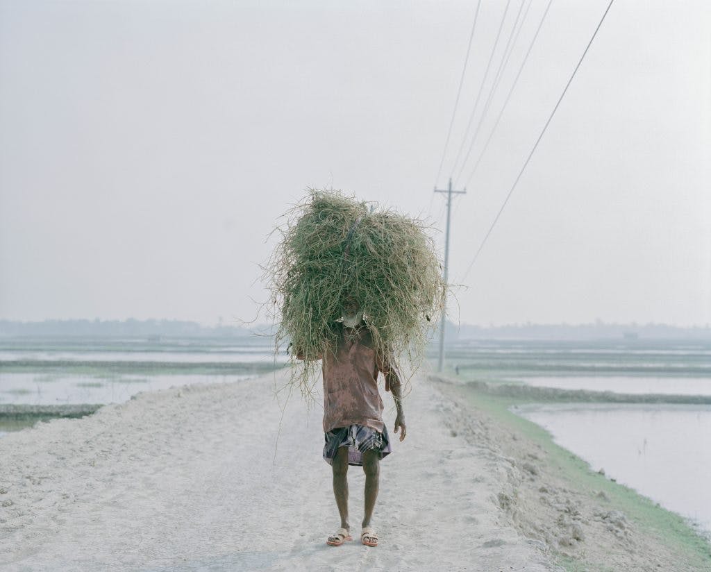 Living in the Transition. Photographe : Shunta Kimura.