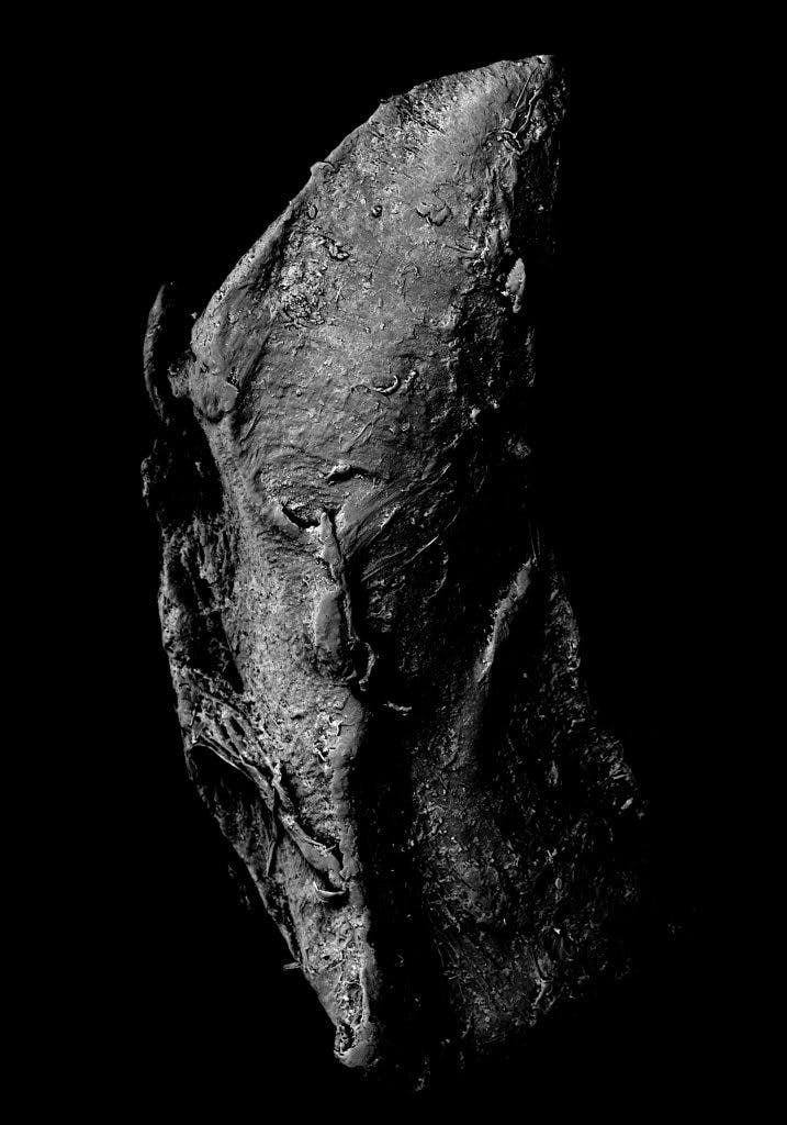 (An)onymous. Photo de microplastiques. Photographes : Kikoh Matsuura + Kazuki Ide