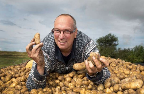 Super-patate : résistante au sel, une arme contre la malnutrition