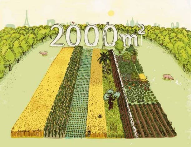 À Berlin, 2 000 mètres carrés pour nous apprendre à manger mieux