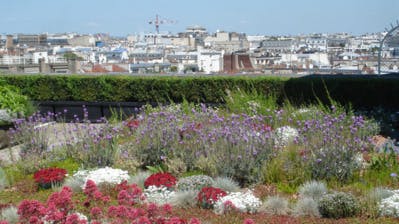 En France, les toits des zones commerciales seront verts ou ne seront pas