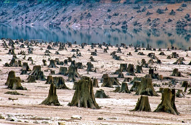 L'impact de l'homme sur la planète résumé en 10 images choc