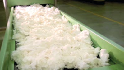 Dioxine et pesticides dans les tampons ? 5 alternatives écolo