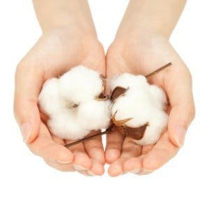 Dioxine et pesticides dans les tampons ? 5 alternatives écolo