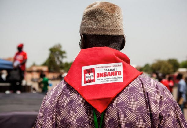 De Paris à Ouagadougou et Rio, la mobilisation de milliers de manifestants contre Monsanto