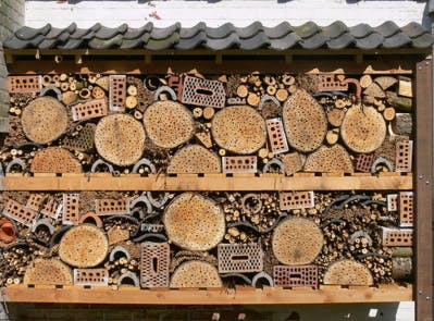 Quatre astuces pour faire la révolution écologique dans votre jardin