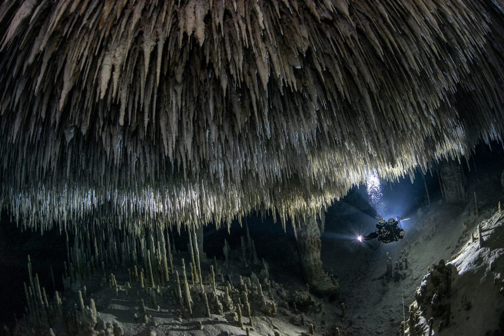 Au fond d&#039;un cénote de la péninsule mexicaine du Yucatán, le photographe Tom St George a rencontré cette caverne d&#039;un autre monde, apparemment sans vie. 