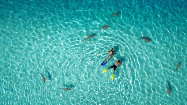 Les drones sont de grands photographes ! La preuve en 10 clichés