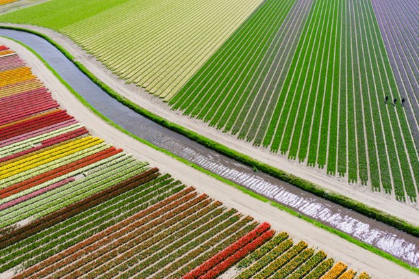 Les drones sont de grands photographes ! La preuve en 10 clichés