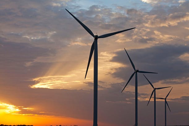Éolien offshore : la France enfin pionnière des énergies de demain ?