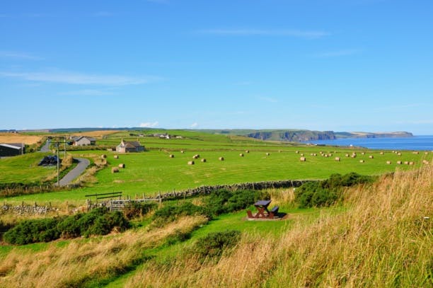 L'Ecosse veut interdire la culture d'OGM sur son territoire