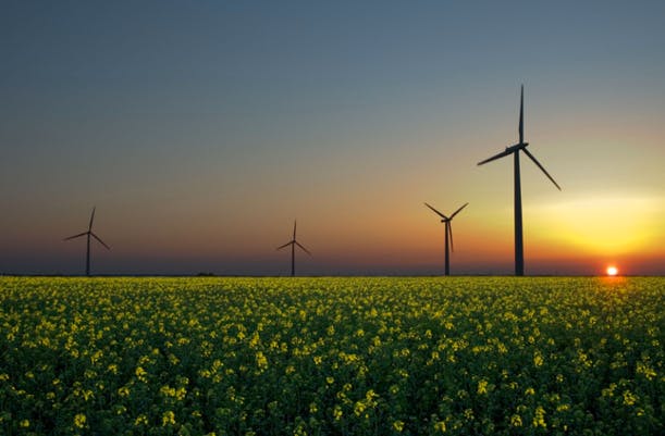 En France, la loi sur la transition énergétique promulguée