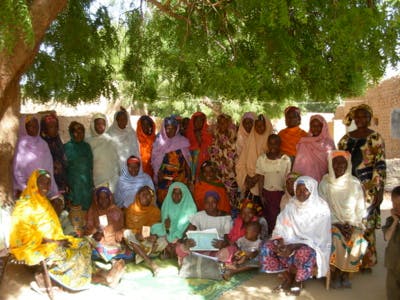 Le moringa, l'arbre magique contre la malnutrition