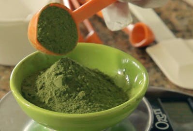 Le moringa, l'arbre magique contre la malnutrition