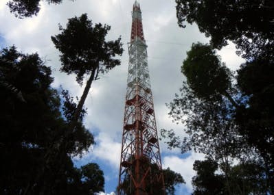 Au Brésil, une tour de 325 m pour mesurer l'influence de la forêt amazonienne sur le climat