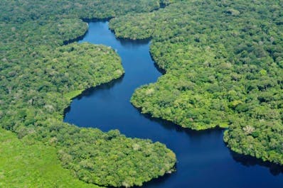 Au Brésil, une tour de 325 m pour mesurer l'influence de la forêt amazonienne sur le climat