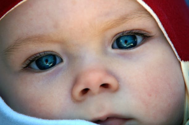 Génétique : choisir le sexe de son enfant, bientôt légal en Australie ?