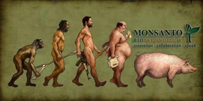 Monsanto condamné pour l'intoxication d'un agriculteur français