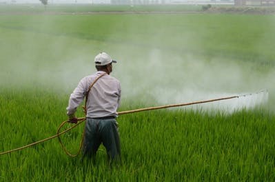 Monsanto condamné pour l'intoxication d'un agriculteur français