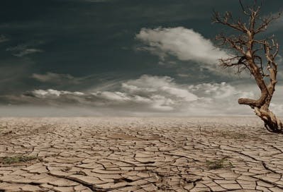 Climat : Le réchauffement de la planète devrait encore s'accélérer en 2016