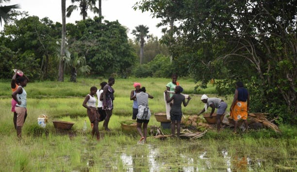 Diversité religieuse et éducation: le pari gagnant du village sénégalais d'Enampore