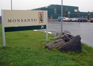 Face à la chute de ses revenus, Monsanto va licencier 2 600 salariés