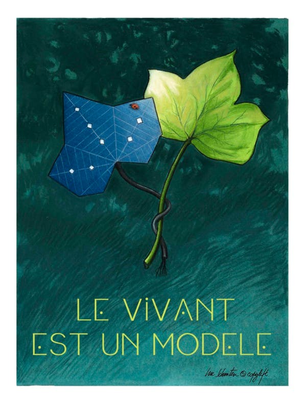 À un mois de la COP21, 10 dessins pour repenser notre lien avec la nature