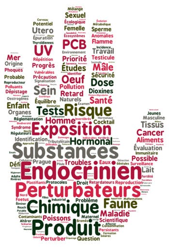 Les perturbateurs endocriniens sont partout : comment les éliminer de nos vies ?