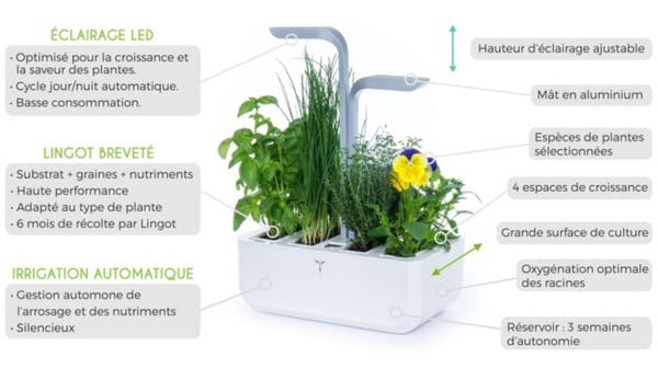 Ce potager connecté cultive vos tomates et votre basilic en toute autonomie