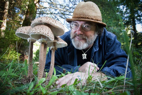 Avec ses champignons pesticides, cet homme affole Monsanto