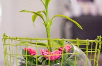 Ces capteurs qui vous révèlent le niveau de la pollution dans l'air que vous respirez