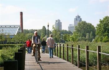 Comment Amsterdam a réduit ses embouteillages de 20 % grâce au coworking