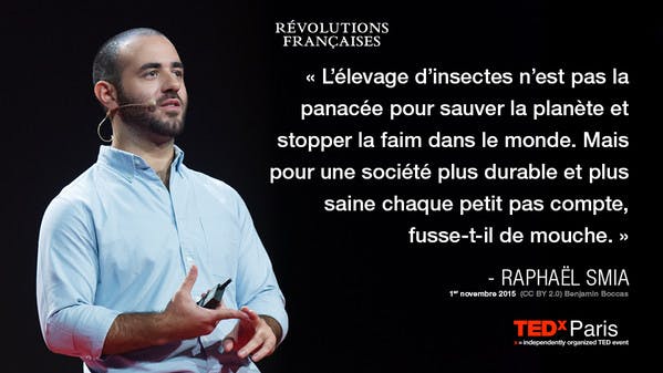 Pour nourrir les animaux d'élevage, une start-up française parie sur les insectes