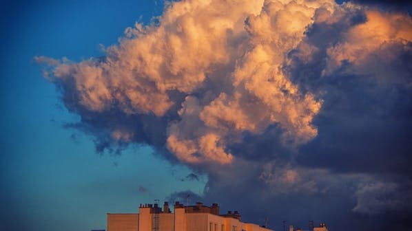 COP21 : portraits de 25 activistes qui font changer tous les climats