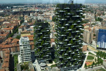 Pour lutter contre la pollution et le réchauffement, 4 projets de revégétalisation des villes