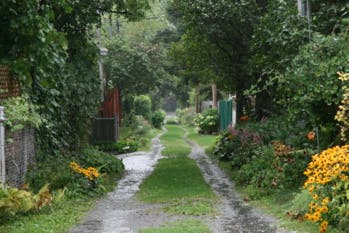 Pour lutter contre la pollution et le réchauffement, 4 projets de revégétalisation des villes