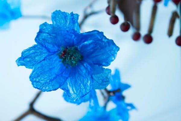 L'homme qui métamorphose les sacs plastique en fleurs