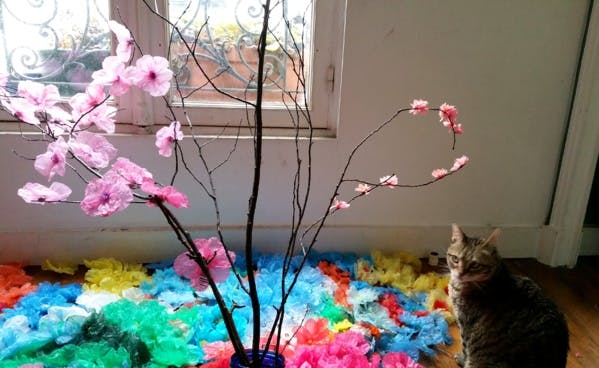 L'homme qui métamorphose les sacs plastique en fleurs