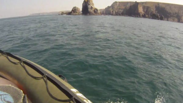 Le chalutage profond interdit dans les eaux européennes au-delà de 800 mètres